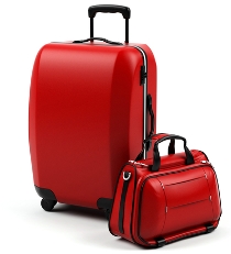 On The Road: Trainer Talk